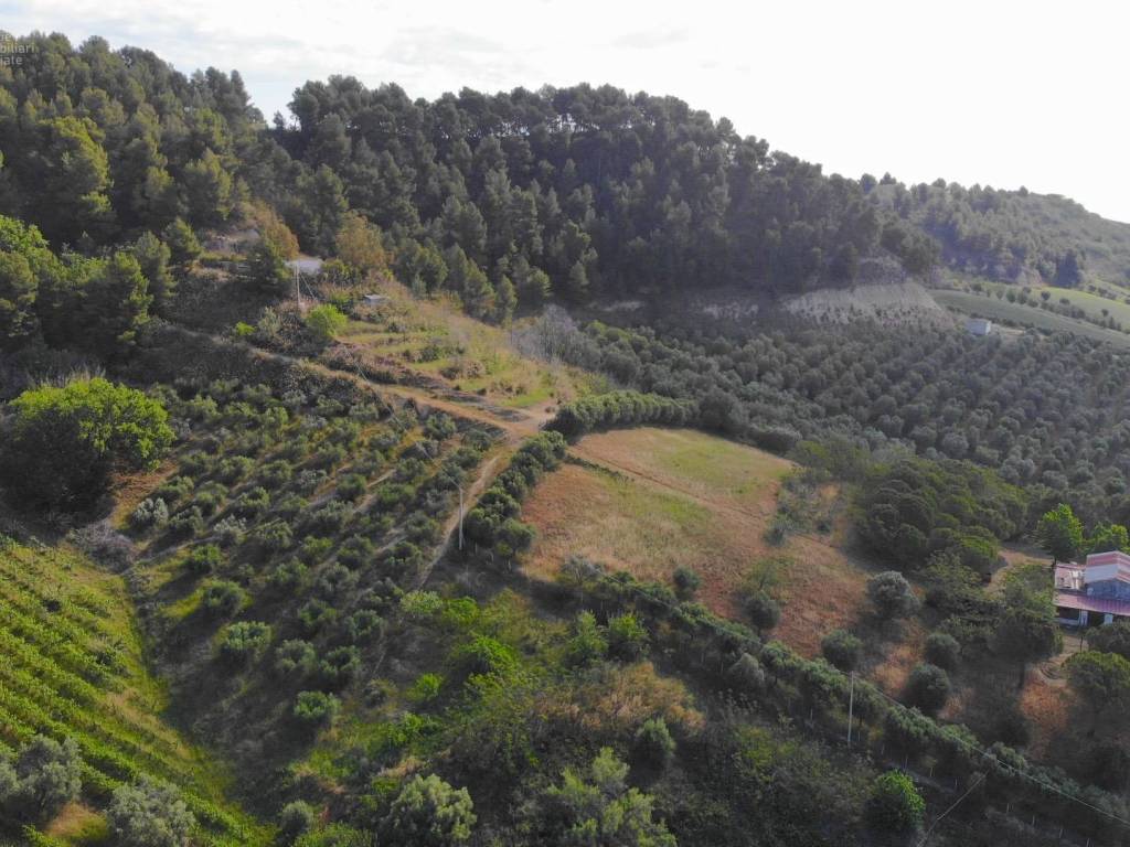 Terreno a Monteprandone in Via Santa lucia - Foto 5