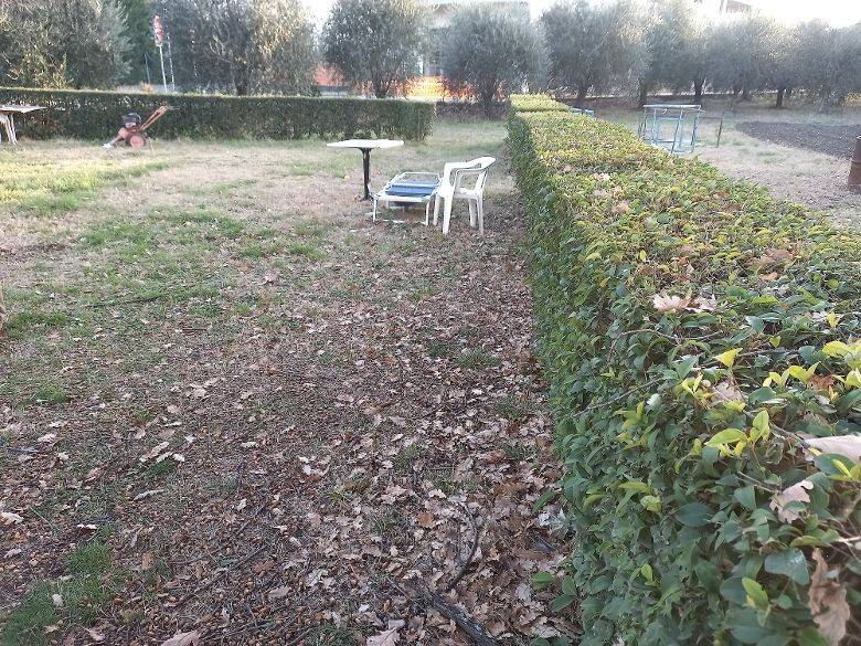 Terreno a Poggio torriana - Foto 4