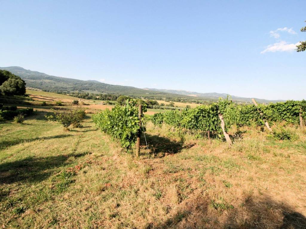 Rustico / casale a Roccastrada - Foto 4