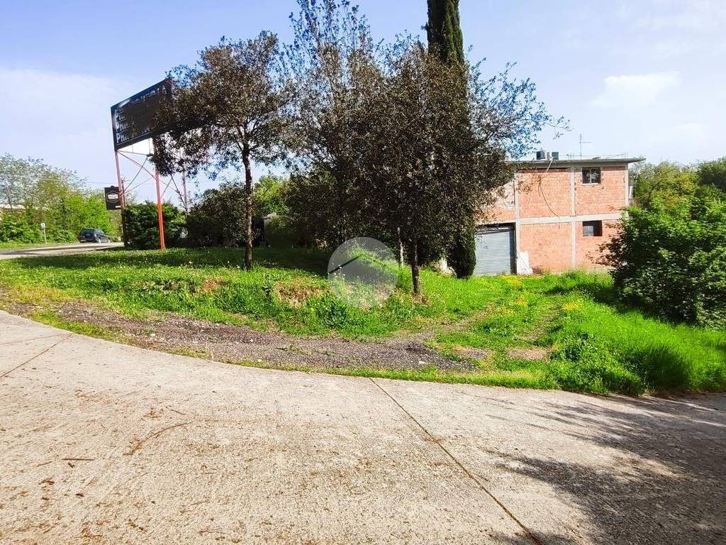Immobile a Pignataro interamna in STRADA STATALE CASSINO-FORMIA - Foto 3
