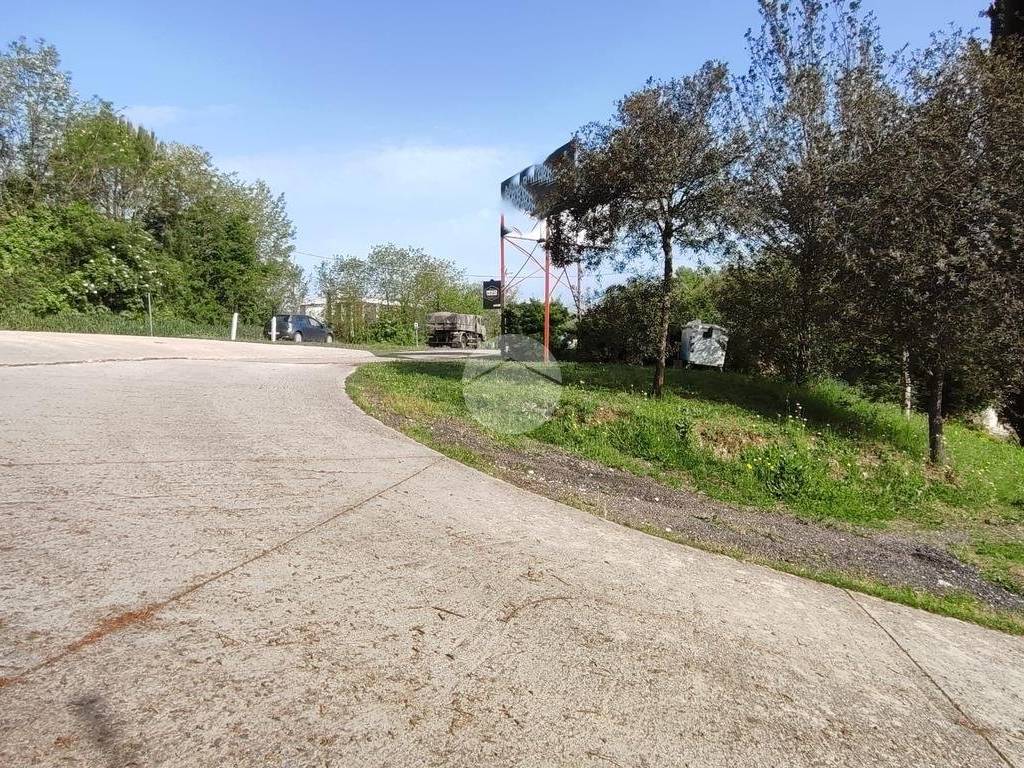 Immobile a Pignataro interamna in STRADA STATALE CASSINO-FORMIA - Foto 4