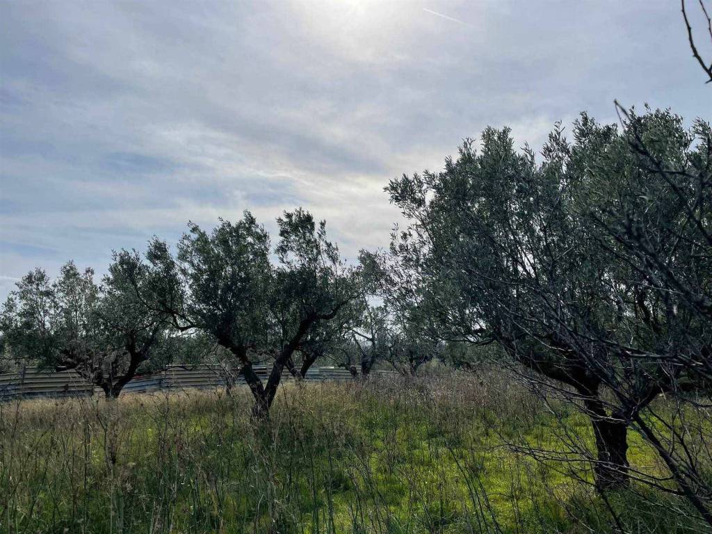 Terreno a Simeri crichi - Foto 2