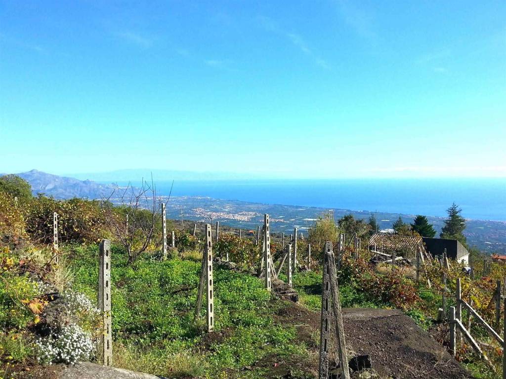 Rustico / casale a Mascali - Foto 1