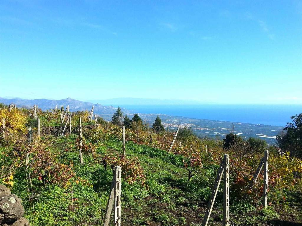 Rustico / casale a Mascali - Foto 2