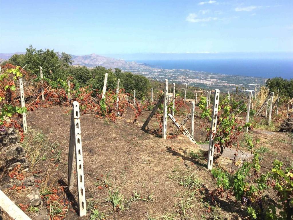 Rustico / casale a Mascali - Foto 3