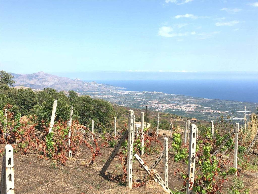 Rustico / casale a Mascali - Foto 4