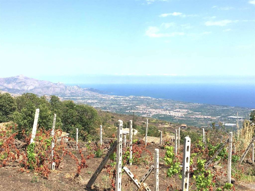 Rustico / casale a Mascali - Foto 5