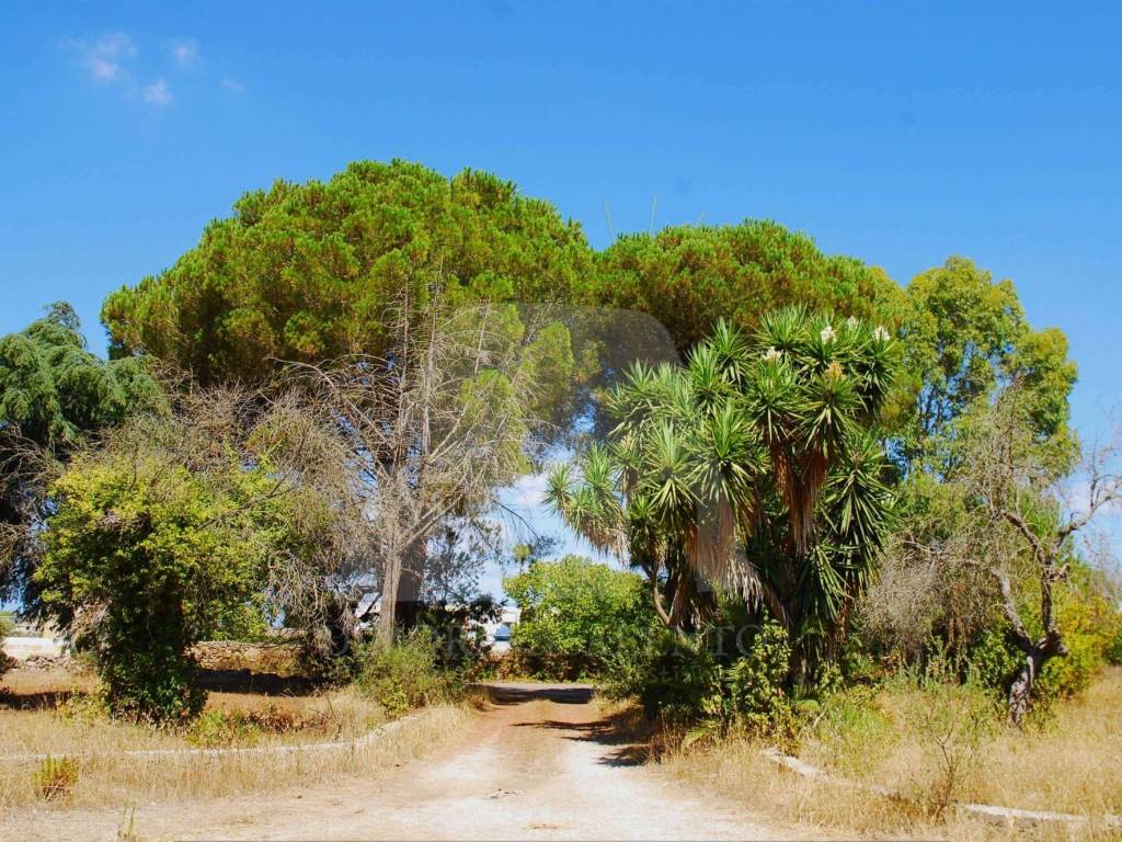 Casa indipendente a Miggiano in Via Specchia, 55 - Foto 4