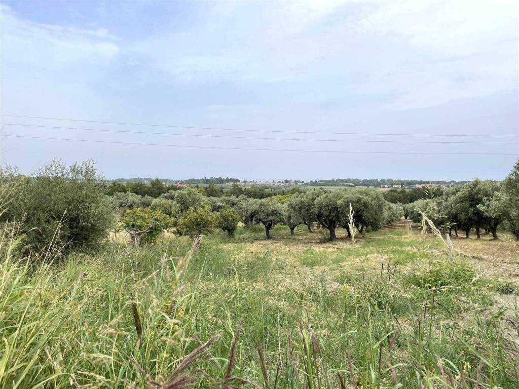 Terreno a Simeri crichi in Contrada Gersitello - Foto 2