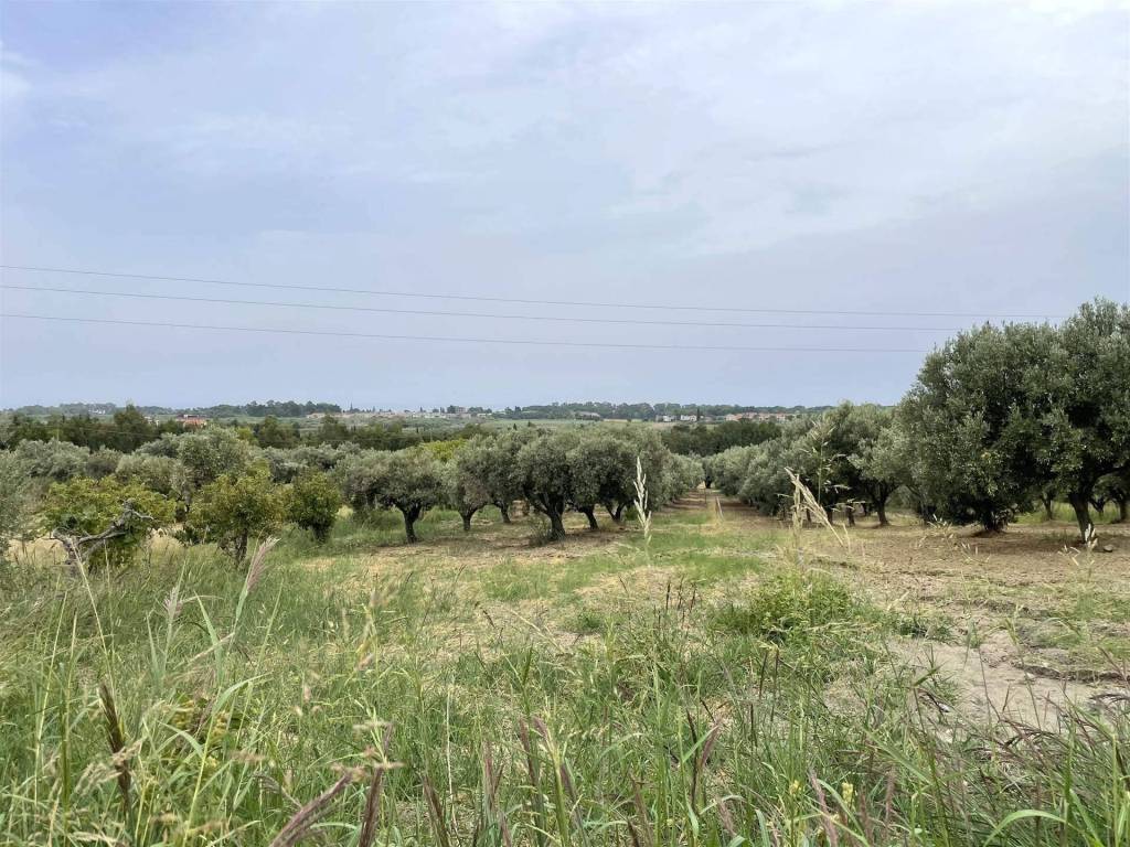Terreno a Simeri crichi in Contrada Gersitello - Foto 3