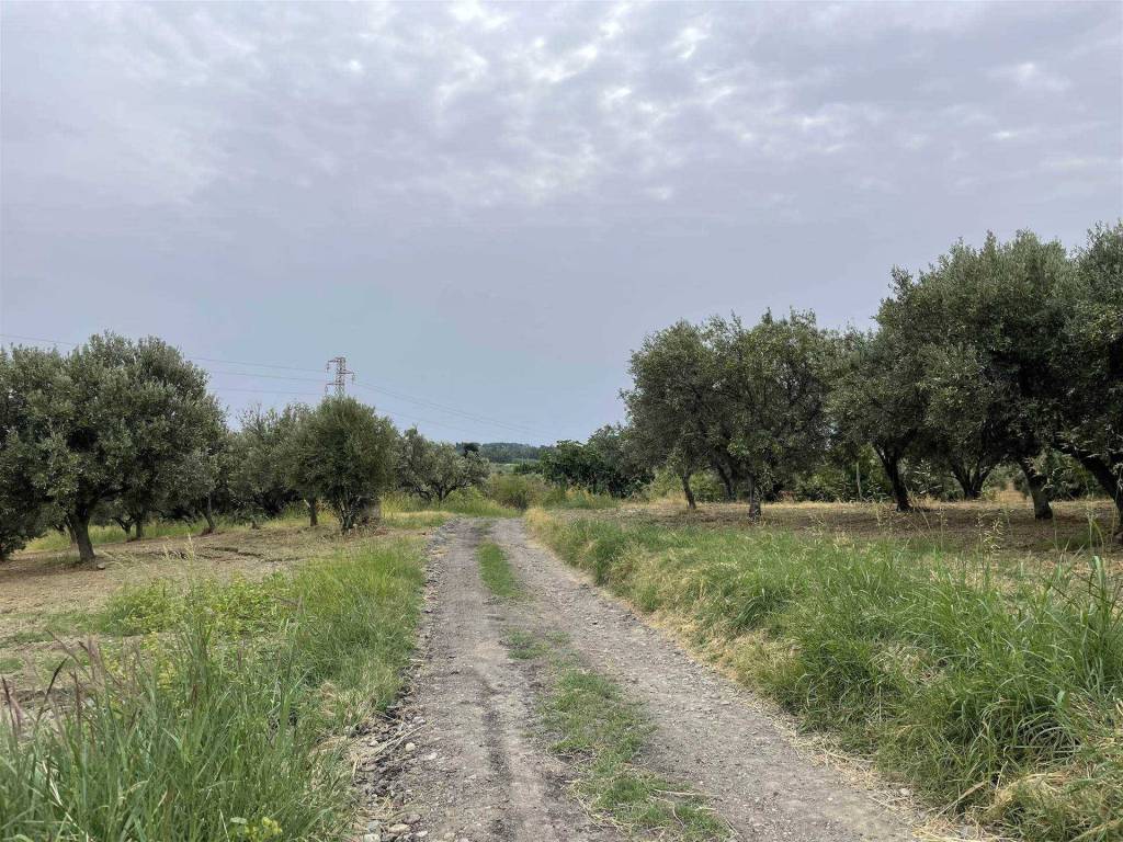 Terreno a Simeri crichi in Contrada Gersitello - Foto 4