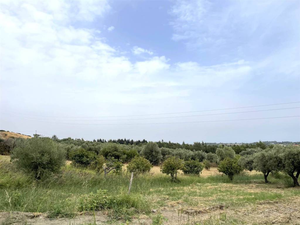 Terreno a Simeri crichi in Contrada Gersitello - Foto 5