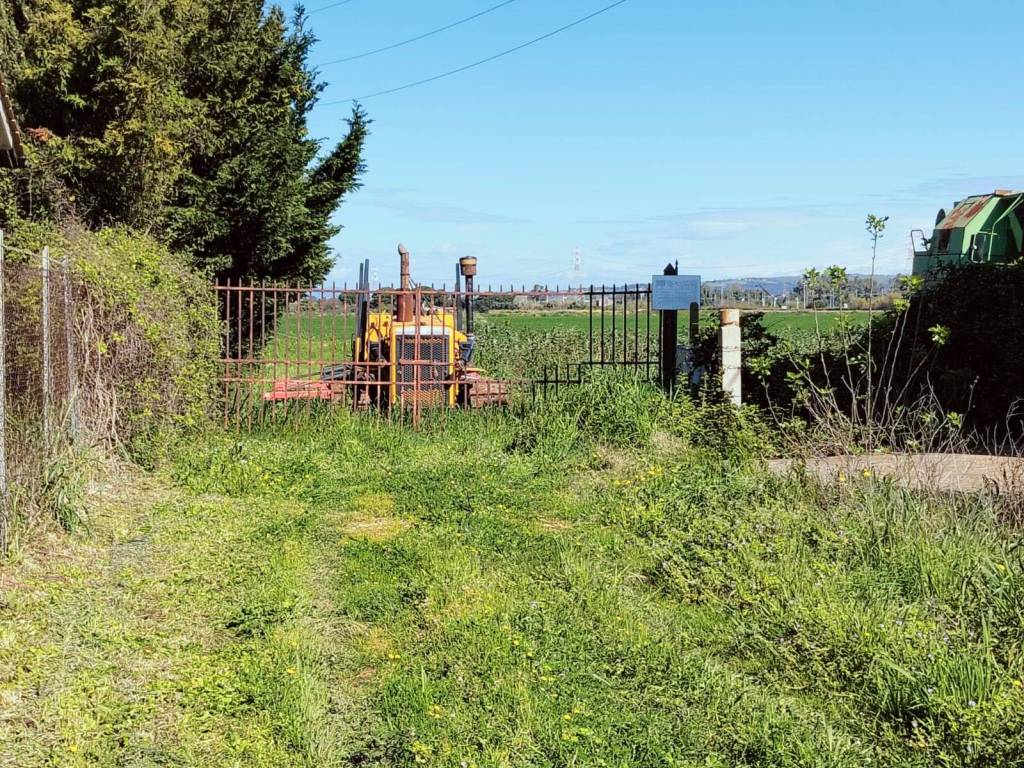 Terreno a Tarquinia in Località Carcarello, 12 - Foto 2