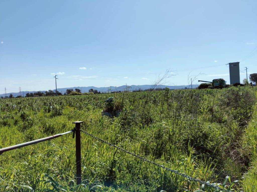 Terreno a Tarquinia in Località Carcarello, 12 - Foto 3