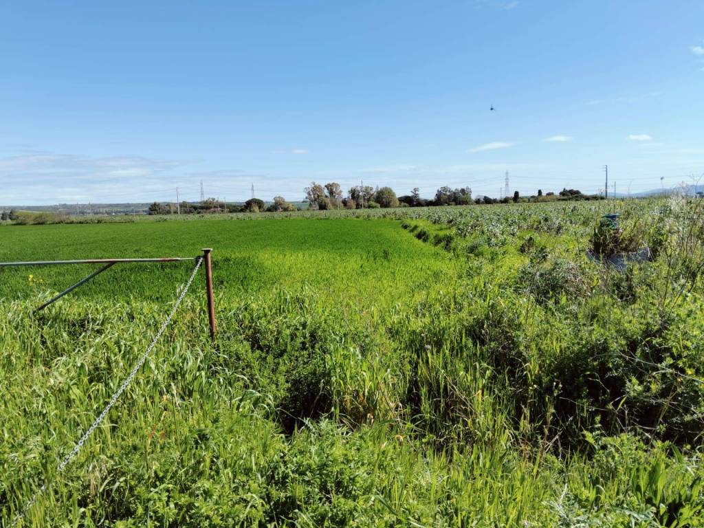 Terreno a Tarquinia in Località Carcarello, 12 - Foto 4