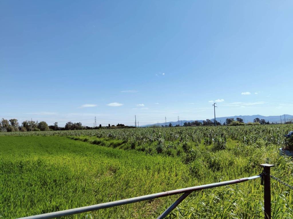 Terreno a Tarquinia in Località Carcarello, 12 - Foto 5