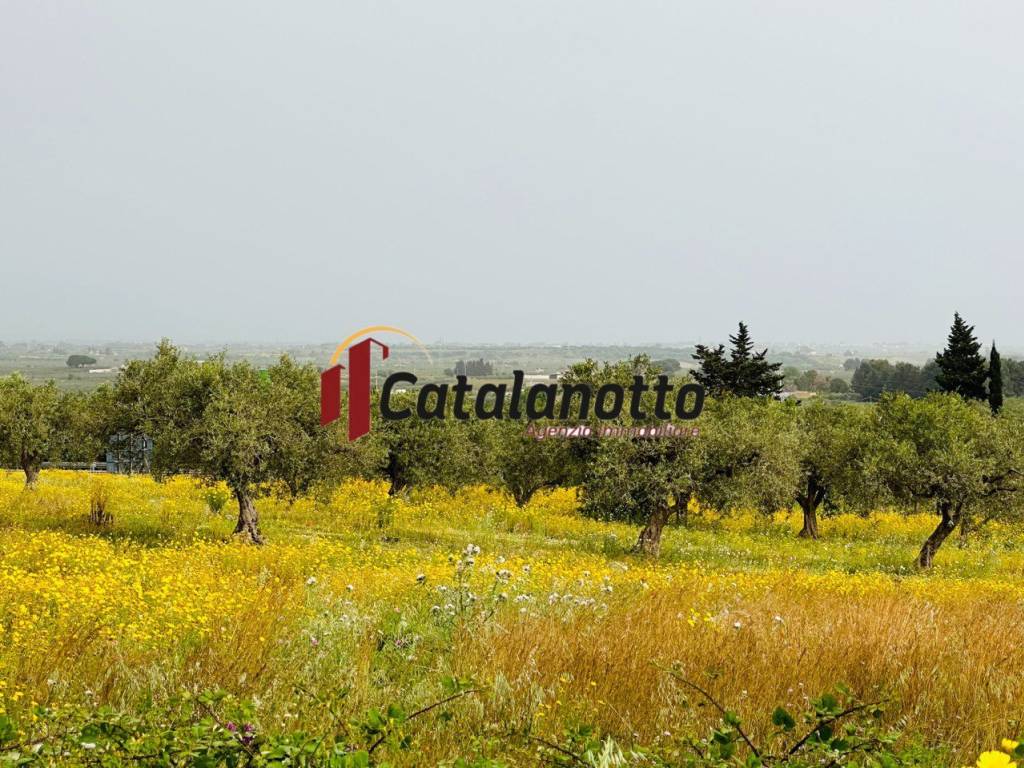 Terreno a Castelvetrano in via contrada canalotto - Foto 2