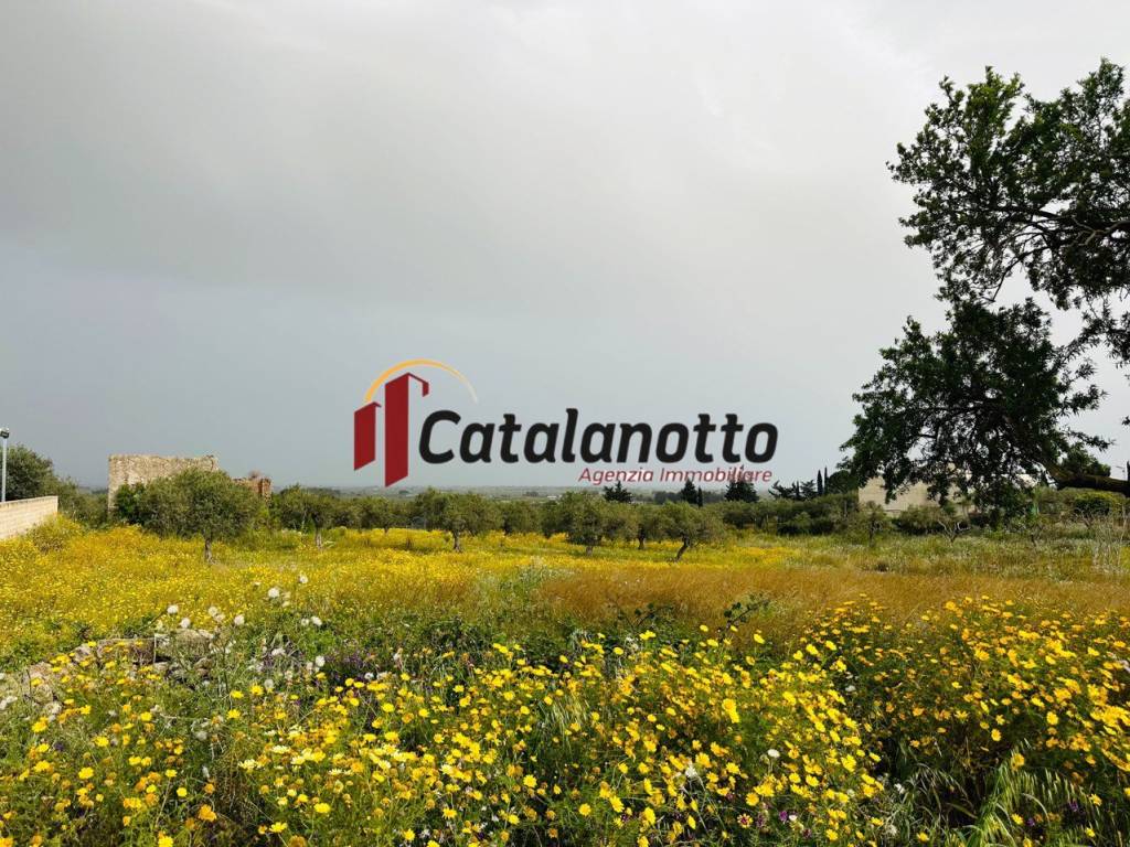 Terreno a Castelvetrano in via contrada canalotto - Foto 3
