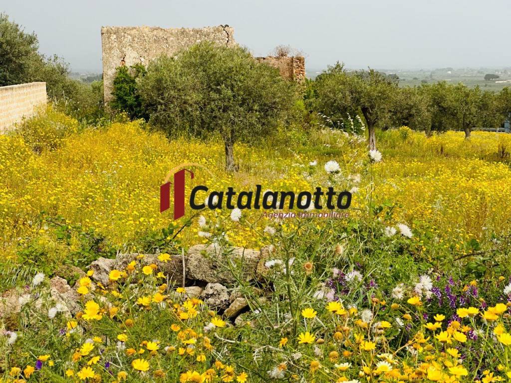 Terreno a Castelvetrano in via contrada canalotto - Foto 5