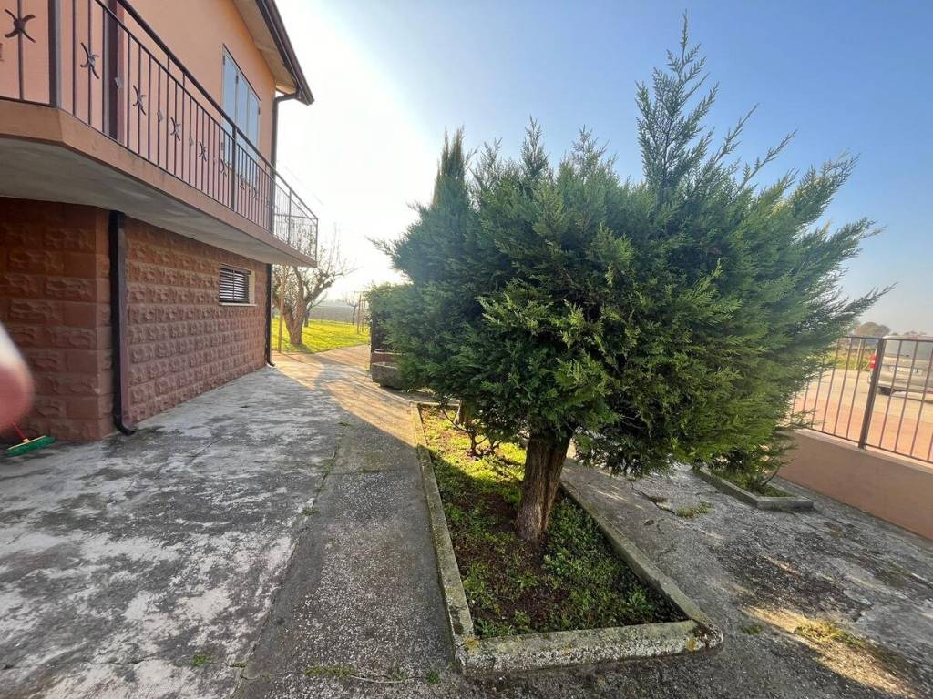 Villa a Ariano nel polesine - Foto 4