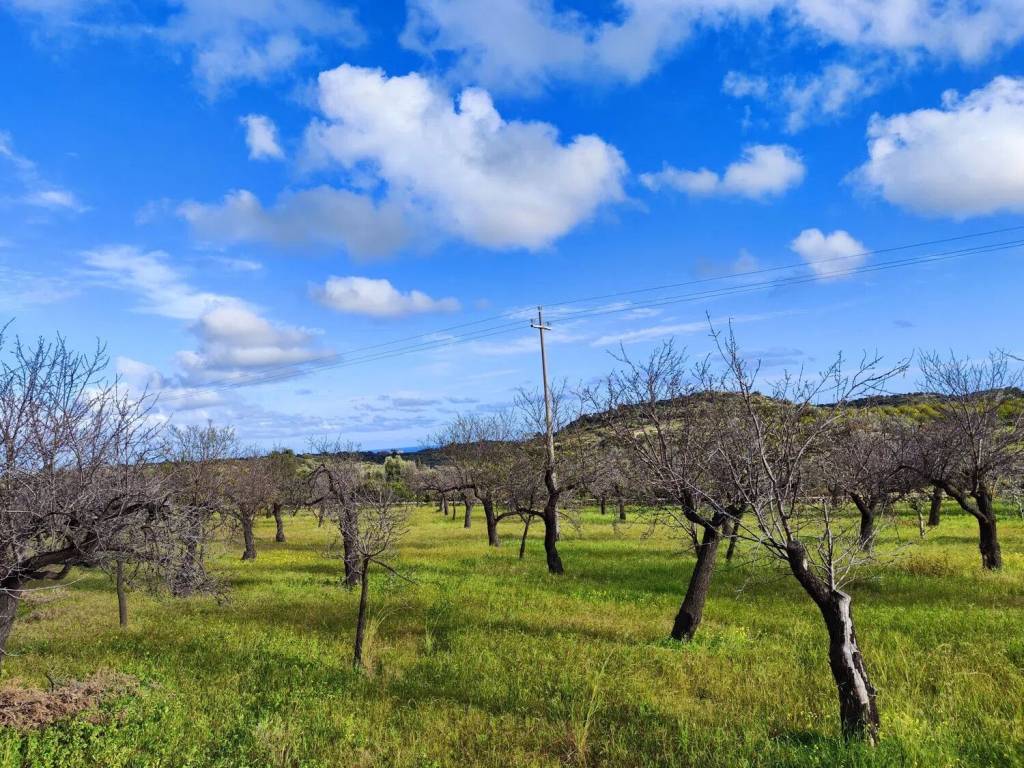 Terreno a Avola in Contrada Fiumarella S.N.C. - Foto 3