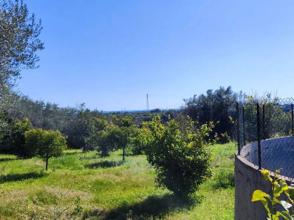 Terreno a Avola in Contrada Puzzi - Foto 3