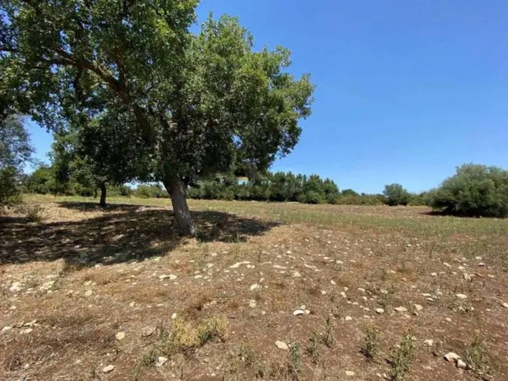 Rustico / casale a Noto in SP24 - Foto 3