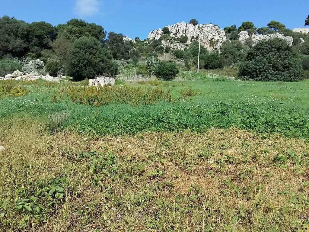 Terreno a Valderice in Via Erice - Foto 5