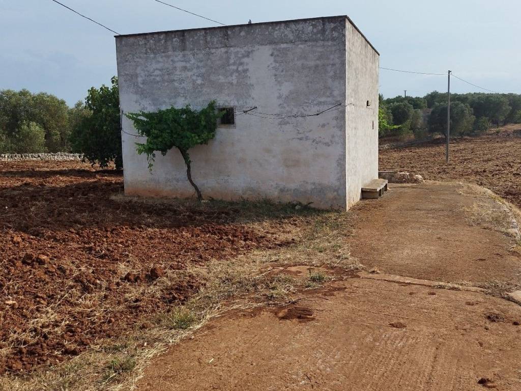 Rustico / casale a Ostuni in Contrada Boccadoro - Foto 3