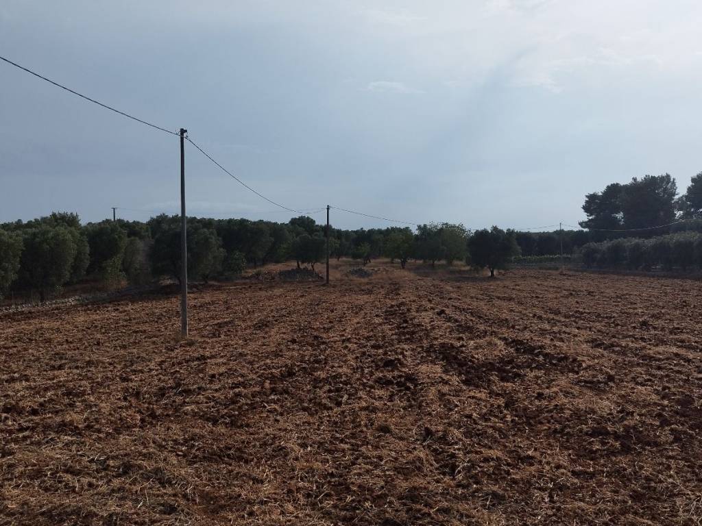 Rustico / casale a Ostuni in Contrada Boccadoro - Foto 4