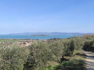 Rustico / casale a Magione in Via della Sapienza - Foto 2