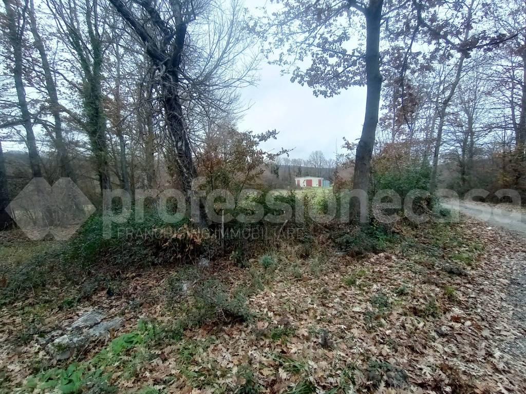 Immobile a San pietro avellana in Masserie di Cristo - Foto 2