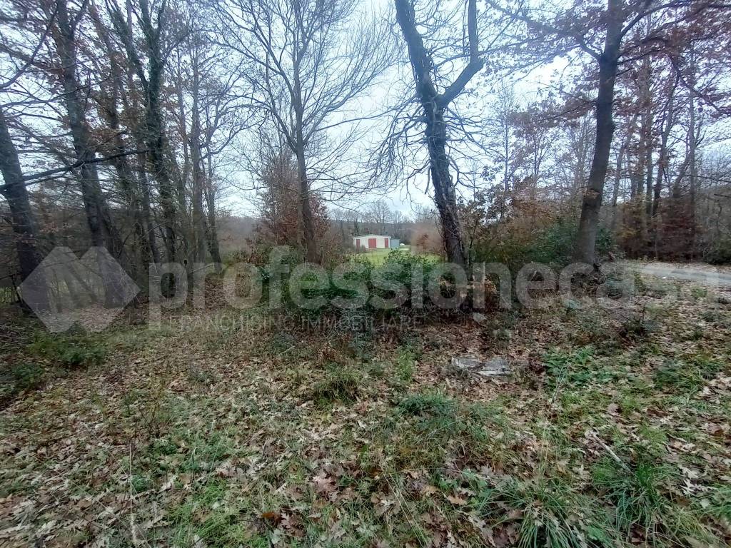 Immobile a San pietro avellana in Masserie di Cristo - Foto 3