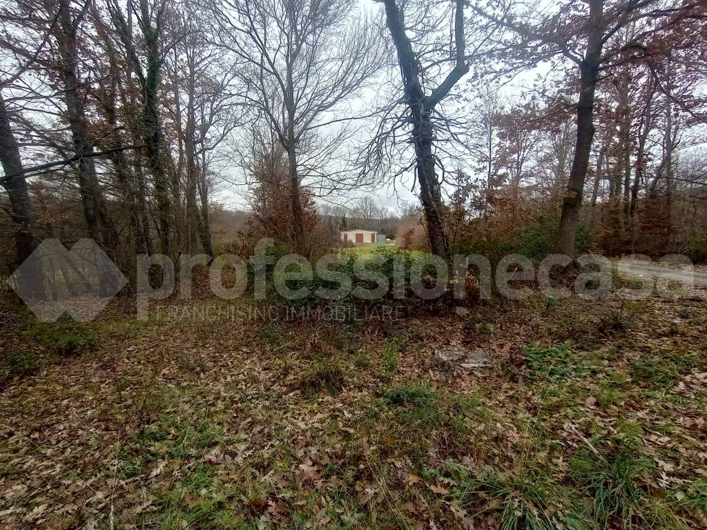 Immobile a San pietro avellana in Masserie di Cristo - Foto 4