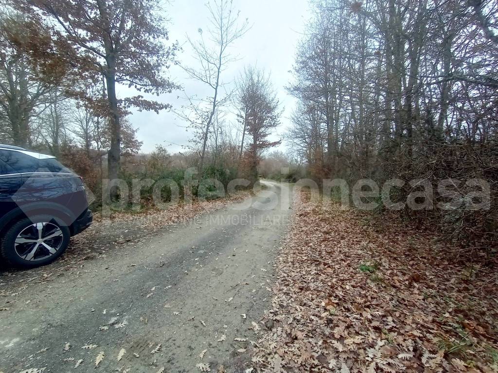 Immobile a San pietro avellana in Masserie di Cristo - Foto 5