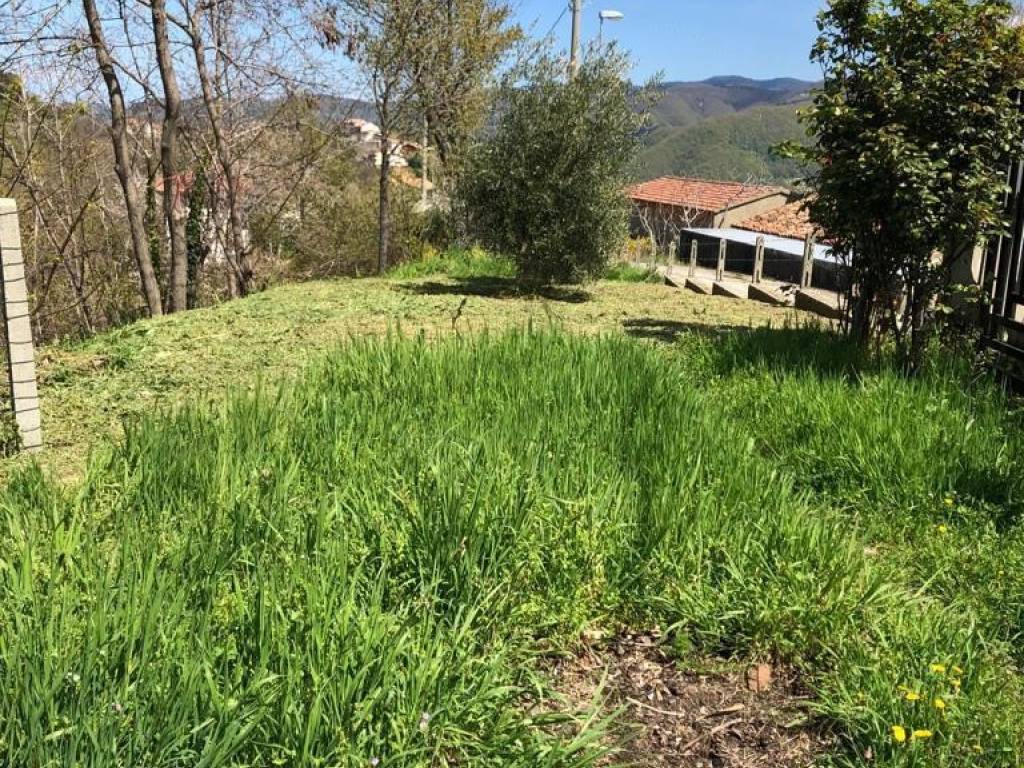 Villa a Acri in Cotura , 124 - Foto 2