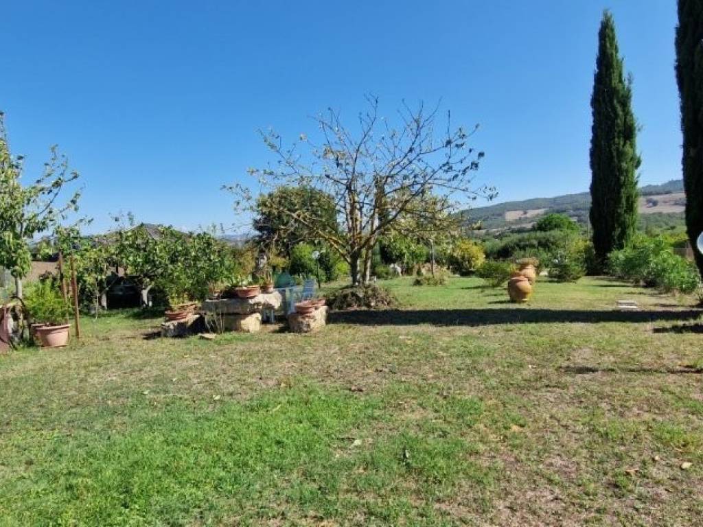 Rustico / casale a Manciano - Foto 2