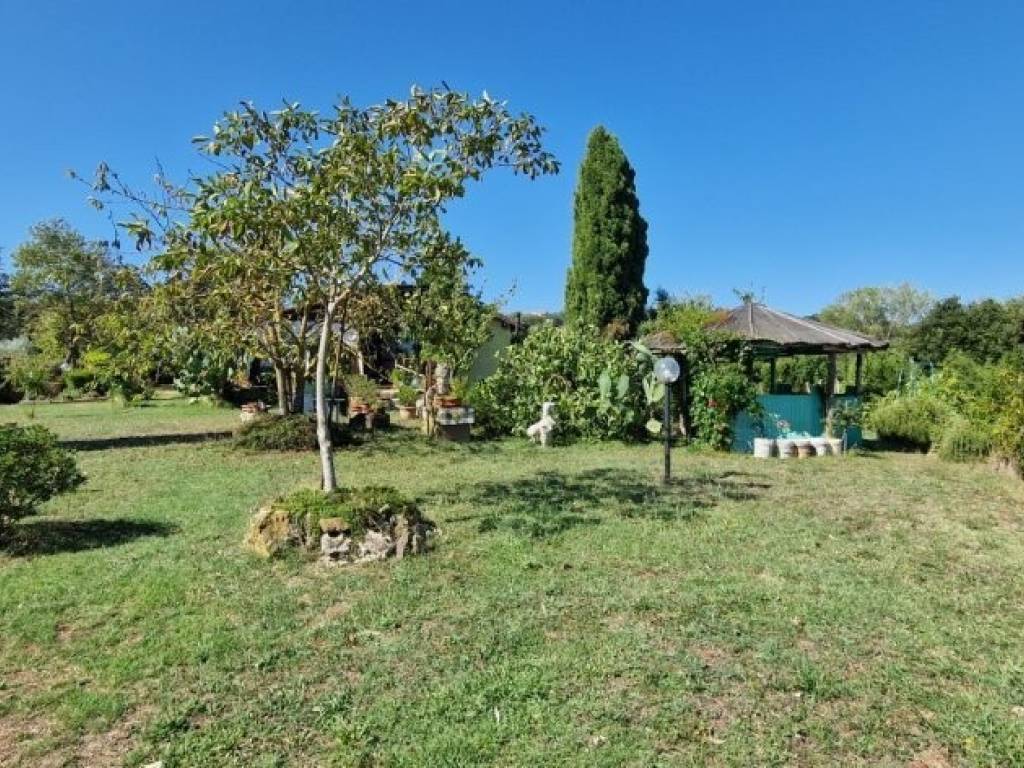 Rustico / casale a Manciano - Foto 4