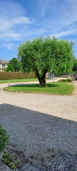 Villa a Piazzola sul brenta in Via Guglielmo Marconi - Foto 3