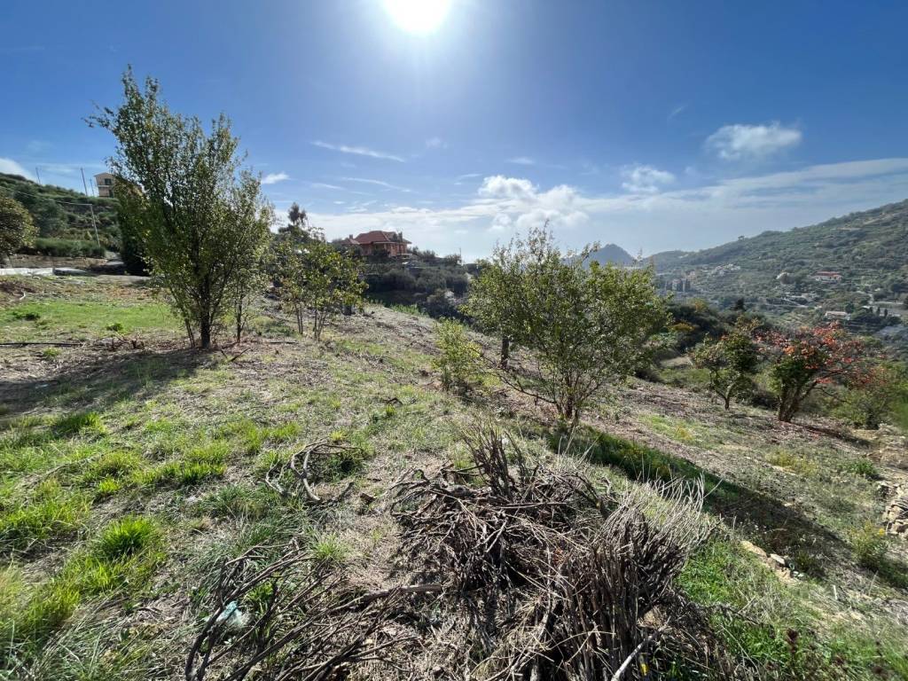 Terreno a Vallebona in Via Ciotti, 12 - Foto 5