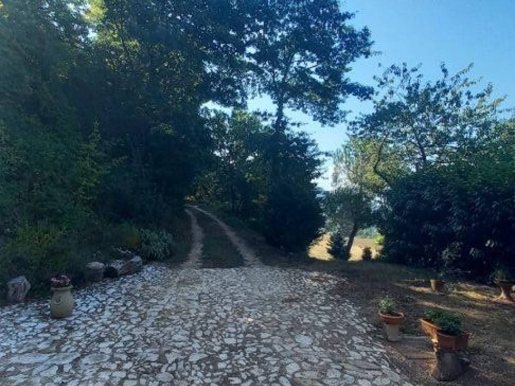 Rustico / casale a Cascia in Strada Statale di Leonessa - Foto 3