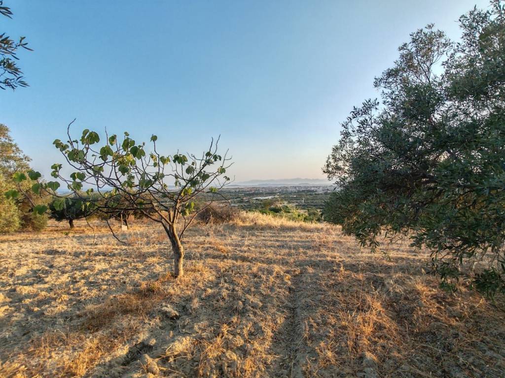 Terreno a Sinnai - Foto 2