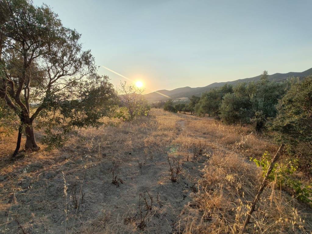 Terreno a Sinnai - Foto 3