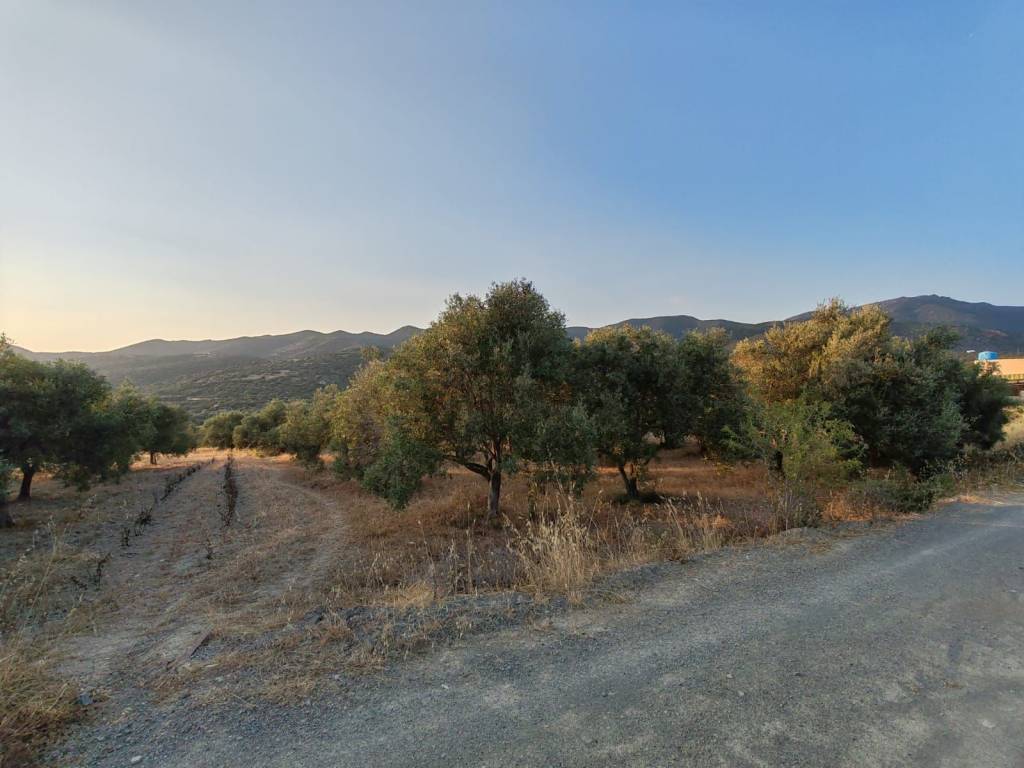 Terreno a Sinnai - Foto 5