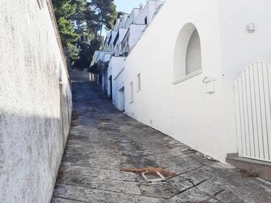 Appartamento a Vico del gargano in Via Dei Gerani S.N.C. - Foto 4