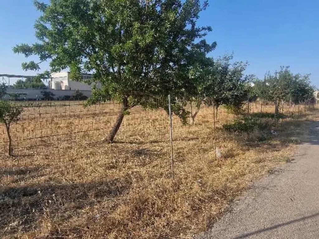 Terreno a San donaci in Via Campi - Foto 4