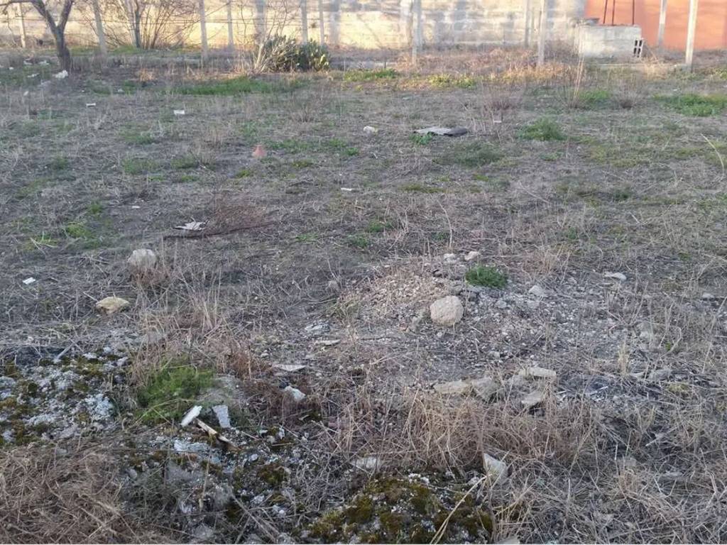 Terreno a Cellino san marco in Via Rivera S.N.C. - Foto 3