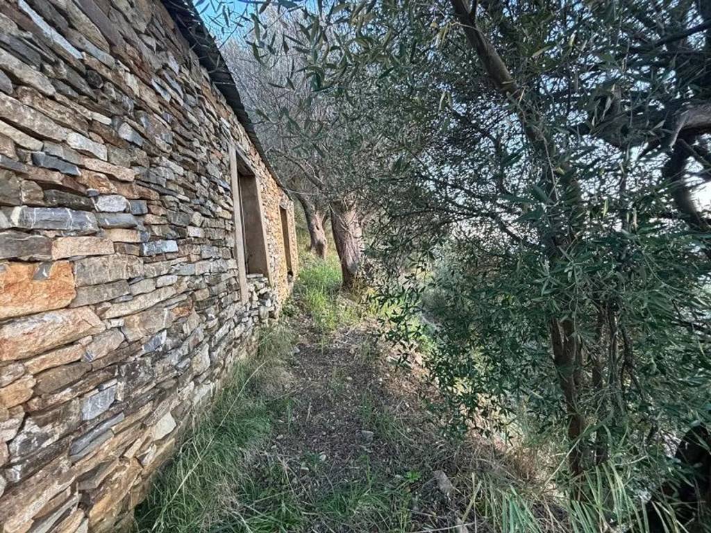Terreno a Pisciotta in Strada Provinciale 269C S.N.C. - Foto 3