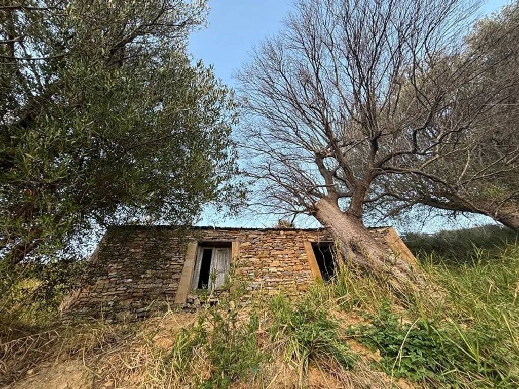 Terreno a Pisciotta in Strada Provinciale 269C S.N.C. - Foto 4