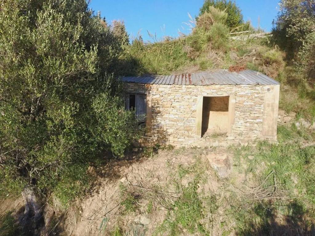 Terreno a Pisciotta in Strada Provinciale 269C S.N.C. - Foto 5